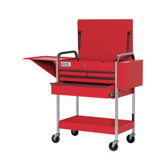 Carts; Cart Type: HEAVY DUTY WITH CASTERS; Caster Type: 4 Swivel; Caster Material: Rubber; Material: Steel; Length (Inch): 17; Height (Inch): 41; Width (Inch): 35; Caster Mount Type: Permanent