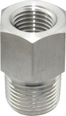 3/8 x 1/4" 316 Stainless Steel Pipe Hex Bushing