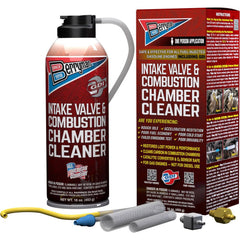 Intake Valve & Combustion Chamber Cleaner-Professional: 16fl oz, Aerosol Can