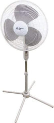 Comfort Zone - 16" Blade, 445 Max CFM, Standing Fan - 0.42 Amps, 120 Volts, 3 Speed - Top Tool & Supply