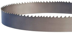 Lenox - 4 to 6 TPI, 15' 9" Long x 1-1/4" Wide x 0.042" Thick, Welded Band Saw Blade - Bi-Metal, Toothed Edge - Top Tool & Supply