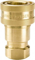 Parker - 1/2 NPTF Brass Hydraulic Hose Female Pipe Thread Coupler - 1,000 psi, 12 GPM - Top Tool & Supply