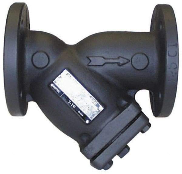 Legend Valve - 2" Pipe, Flanged Ends, Cast Iron Y-Strainer - 200 psi WOG Rating, 150 psi WSP Rating - Top Tool & Supply