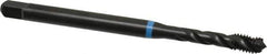 Emuge - #12-28 UNF 3 Flute 3B Modified Bottoming Spiral Flute Tap - Cobalt, Oxide Finish, 3.15" OAL, Right Hand Flute, Right Hand Thread, Series Enorm-VA - Top Tool & Supply