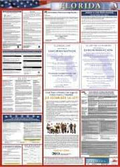 NMC - 24" Wide x 40" High Laminated Paper Labor Law Information Poster - Florida Jurisdiction, 0.03" Thick, Spanish - Top Tool & Supply