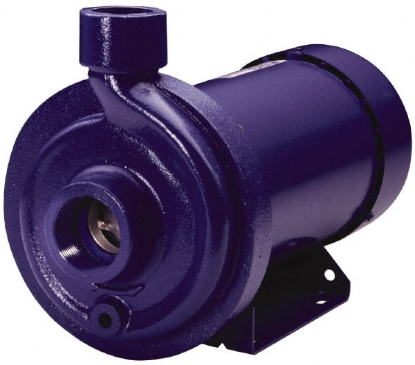 Goulds Pumps - 115/230 Volt 14.4/8/7 Amp 1-1/2 hp 1 Phase TEFC Cast Iron AC Straight Pump - Exact Industrial Supply