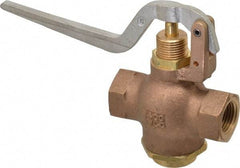 Kingston - 1/2" Pipe, 400 Max psi, Buna N Disc, Self Closing Control Valve - Squeeze Lever, FNPT x FNPT End Connections - Top Tool & Supply