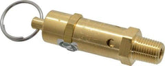 Kingston - 1/4" Inlet, ASME Safety Relief Valve - 50 Max psi, Brass - Top Tool & Supply