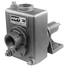 American Machine & Tool - 2 Inch Outlet, Cast Iron, Pedestal Mount Pump - F.G. Casing Seal, Pedestal Pump - Top Tool & Supply