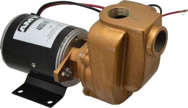 American Machine & Tool - 12 Volt, 1/8 hp, 3/4 Inlet, Bronze Utility Pump - 14 Max Head Pressure, 3/4 Inch Outlet - Top Tool & Supply