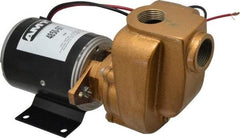 American Machine & Tool - 12 Volt, 1/8 hp, 3/4 Inlet, Bronze Utility Pump - 14 Max Head Pressure, 3/4 Inch Outlet - Top Tool & Supply