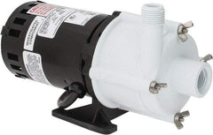 Little Giant Pumps - 1/30 HP, 14.6 Shut Off Feet, Magnetic Drive Pump - 3100 RPM, 1 Phase, 60 Hz - Top Tool & Supply