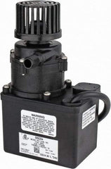 Little Giant Pumps - 1/35 HP, 12.8 Shut Off Feet, Magnetic Drive Pump - 1 Phase, 60 Hz - Top Tool & Supply