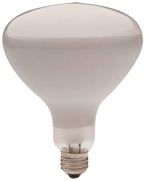 Philips - 300 Watt Incandescent Flood/Spot Medium Screw Lamp - 2,700°K Color Temp, 2,960 Lumens, 12 Volts, Dimmable, R40, 2,000 hr Avg Life - Top Tool & Supply