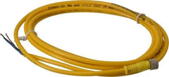 Brad Harrison - 4 Amp, M8 Female Straight to Pigtail Cordset Sensor and Receptacle - 60 VAC, 75 VDC, 2m Cable Length, IP68 Ingress Rating - Top Tool & Supply