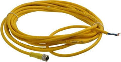 Brad Harrison - 3 Amp, M8 Female Straight to Pigtail Cordset Sensor and Receptacle - 60 VAC, 75 VDC, 5m Cable Length, IP68 Ingress Rating - Top Tool & Supply