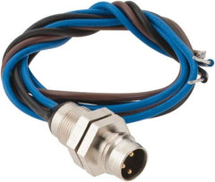 Brad Harrison - 4 Amp, M8 Male Straight Receptacle - 60 VAC, 75 VDC, 0.30m Cable Length, IP67 Ingress Rating - Top Tool & Supply