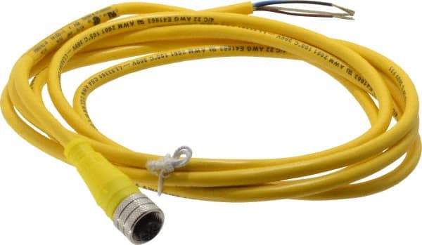 Brad Harrison - 4 Amp, M12 Female Straight to Pigtail Cordset Sensor and Receptacle - 250 VAC/VDC, 2m Cable Length, IP67 Ingress Rating - Top Tool & Supply