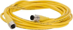 Brad Harrison - 4 Amp, M12 Male Straight to Female Straight Cordset Sensor and Receptacle - 250 VAC/VDC, 4m Cable Length, IP67 Ingress Rating - Top Tool & Supply