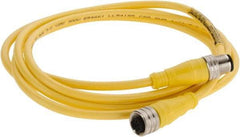 Brad Harrison - Female to Male Cordset Sensor and Receptacle - 250 VAC/VDC, 2m Cable Length, IP68 Ingress Rating - Top Tool & Supply