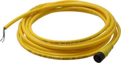 Brad Harrison - Female Straight Cordset Sensor and Receptacle - 250 VAC/VDC, 12 Ft. Long Cable, IP68 Ingress Rating - Top Tool & Supply