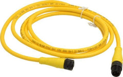 Brad Harrison - Female to Male Cordset Sensor and Receptacle - 250 VAC/VDC, 6 Ft. Long Cable, IP68 Ingress Rating - Top Tool & Supply