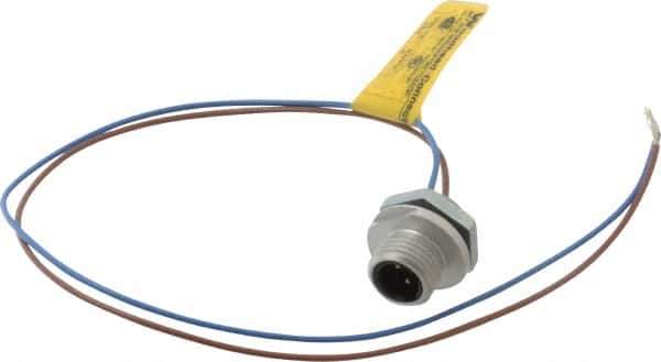 Brad Harrison - 4 Amp, 1/2-20 UNF Male Straight Receptacle - 250 VAC/VDC, 0.31m Cable Length, IP67 Ingress Rating - Top Tool & Supply