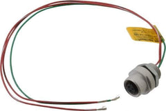 Brad Harrison - 4 Amp, 1/2-20 UNF Female Straight Receptacle - 250 VAC/VDC, 0.31m Cable Length, IP67 Ingress Rating - Top Tool & Supply