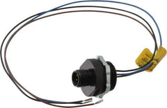 Brad Harrison - 4 Amp, M12 Male Straight Receptacle - 250 VAC/VDC, 0.31m Cable Length, IP67 Ingress Rating - Top Tool & Supply