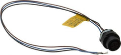 Brad Harrison - 4 Amp, M12 Female Straight Receptacle - 250 VAC/VDC, 0.31m Cable Length, IP67 Ingress Rating - Top Tool & Supply