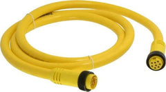 Brad Harrison - 7 Amp, Female Straight, Male Straight Cordset Sensor and Receptacle - 600 Volt, 1.83m Cable Length, IP67 Ingress Rating - Top Tool & Supply