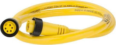 Brad Harrison - 8 Amp, Female Straight, Male Straight Cordset Sensor and Receptacle - 600 Volt, 0.91m Cable Length, IP67 Ingress Rating - Top Tool & Supply