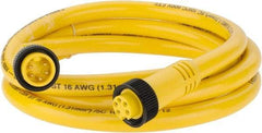 Brad Harrison - 8 Amp, Female Straight, Male Straight Cordset Sensor and Receptacle - 600 Volt, 1.83m Cable Length, IP67 Ingress Rating - Top Tool & Supply