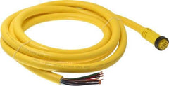 Brad Harrison - 5 Amp, Female Straight to Pigtail Cordset Sensor and Receptacle - 600 Volt, 3.66m Cable Length, IP67 Ingress Rating - Top Tool & Supply