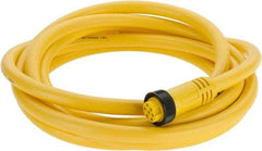 Brad Harrison - 8 Amp, Female Straight to Pigtail Cordset Sensor and Receptacle - 600 Volt, 3.66m Cable Length, IP67 Ingress Rating - Top Tool & Supply