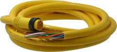 Brad Harrison - 7 Amp, Male Straight to Pigtail Cordset Sensor and Receptacle - 600 Volt, 3.66m Cable Length, IP67 Ingress Rating - Top Tool & Supply