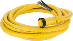 Brad Harrison - 7 Amp, Female Straight to Pigtail Cordset Sensor and Receptacle - 600 Volt, 3.66m Cable Length, IP67 Ingress Rating - Top Tool & Supply