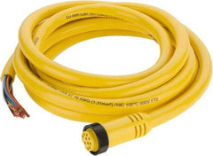 Brad Harrison - 7 Amp, Female Straight to Pigtail Cordset Sensor and Receptacle - 600 Volt, 3.66m Cable Length, IP67 Ingress Rating - Top Tool & Supply