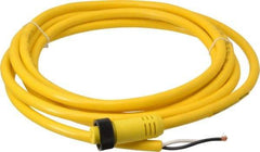 Brad Harrison - 13 Amp, Female Straight to Pigtail Cordset Sensor and Receptacle - 600 Volt, 3.66m Cable Length, IP67 Ingress Rating - Top Tool & Supply