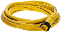 Brad Harrison - 13 Amp, Male Straight to Pigtail Cordset Sensor and Receptacle - 600 Volt, 3.66m Cable Length, IP67 Ingress Rating - Top Tool & Supply