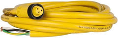 Brad Harrison - 13 Amp, Female Straight to Pigtail Cordset Sensor and Receptacle - 600 Volt, 3.66m Cable Length, IP67 Ingress Rating - Top Tool & Supply