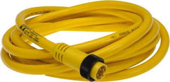 Brad Harrison - 10 Amp, Male Straight to Pigtail Cordset Sensor and Receptacle - 600 Volt, 3.66m Cable Length, IP67 Ingress Rating - Top Tool & Supply