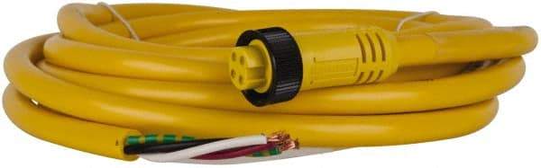 Brad Harrison - 10 Amp, Female Straight to Pigtail Cordset Sensor and Receptacle - 600 Volt, 3.66m Cable Length, IP67 Ingress Rating - Top Tool & Supply