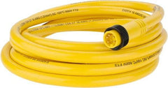 Brad Harrison - 8 Amp, Male Straight to Pigtail Cordset Sensor and Receptacle - 600 Volt, 3.66m Cable Length, IP67 Ingress Rating - Top Tool & Supply