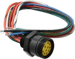 Brad Harrison - 7 Amp, Female Straight Receptacle - 600 VAC/VDC, 0.31m Cable Length, IP67 Ingress Rating - Top Tool & Supply