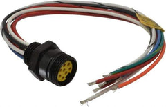 Brad Harrison - 7 Amp, Female Straight Receptacle - 600 VAC/VDC, 0.31m Cable Length, IP67 Ingress Rating - Top Tool & Supply