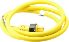 Brad Harrison - 15 Amp, Female Straight to Pigtail Cordset Sensor and Receptacle - 600 Volt, 1.83m Cable Length, IP67 Ingress Rating - Top Tool & Supply