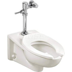 Toilets; Type: Toilet with Exposed Manual Flush Valve; Bowl Shape: Elongated; Mounting Style: Wall; Gallons Per Flush: 1.6; Overall Height: 29-5/8; Overall Width: 14; Overall Depth: 26; Rim Height: 15; Trapway Size: 2-1/8; Rough In Size: 11.50; Material: