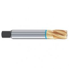 1/8-27 Dia. - 4 FL - Cobalt Spiral Flute Blue Ring Tap-TiN-25 Degree Helix - Top Tool & Supply