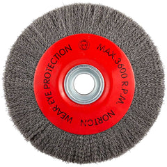 Norton - 10" OD, 3/4" Arbor Hole, Crimped Carbon Wheel Brush - Top Tool & Supply